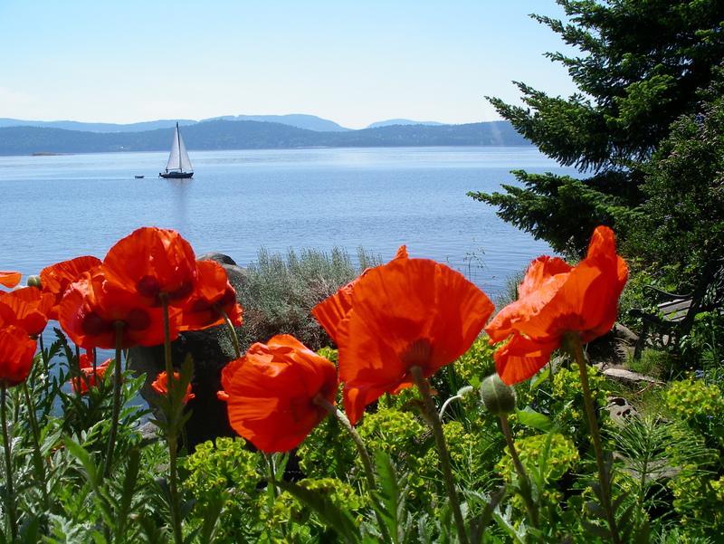 Serenity By The Sea Retreats Montague Harbour Exteriér fotografie