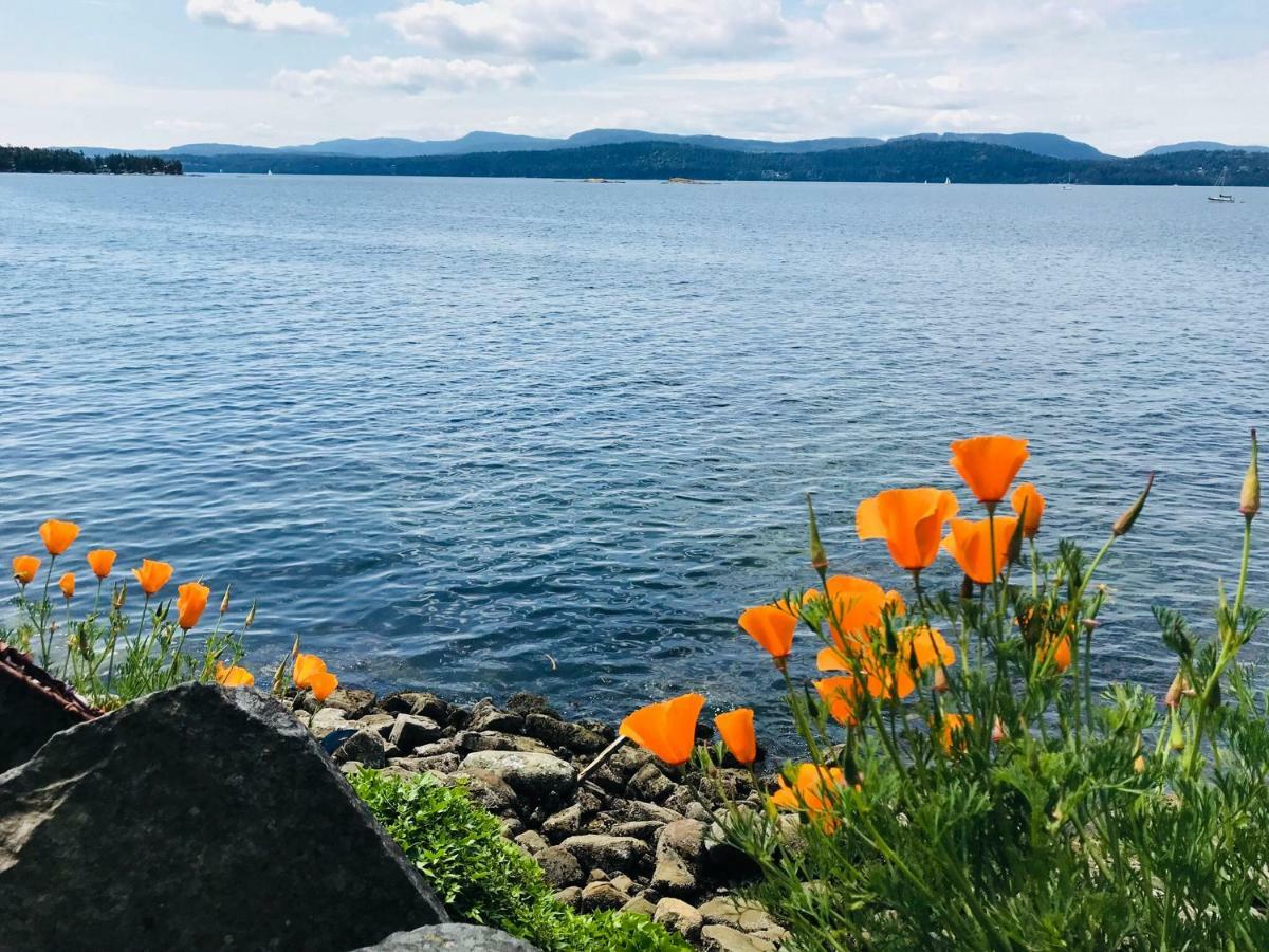 Serenity By The Sea Retreats Montague Harbour Exteriér fotografie